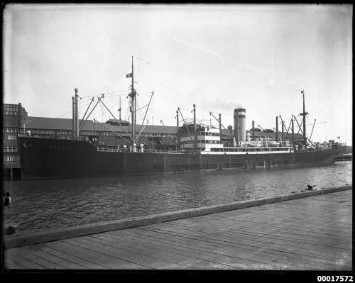 SS HÖCHST moored at a wharf in Sydney