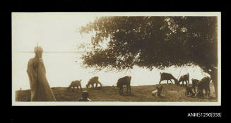 Postcard from Cairo collected by Douglas Ballantyne Fraser
